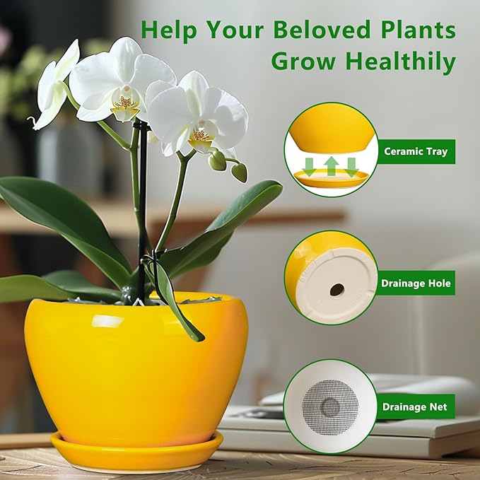8 Inch Plant Pot - Image 6