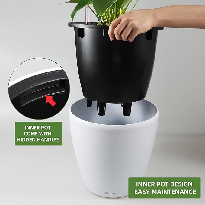 Dexceder 13x12 Self Watering Planter - Image 4