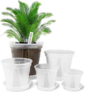GREENPARA Transparent Plastic Garden Pots Planter by GREENPARA