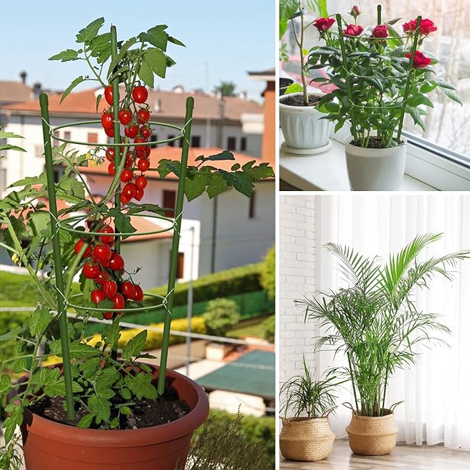 4 Pack Tomato Cage for Garden Plant Support, 24 inches Small Tomato Cages - Image 6