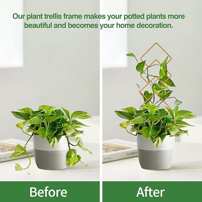 Indoor Plant Trellis for Potted Plants, 16inch Gold Small Trellis for Climbing - Image 4