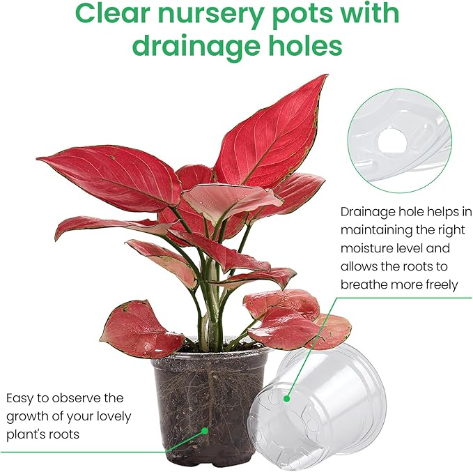 36 Packs 7/5/4/3.5 Inch Reinforced Clear Nursery Pots - Image 3