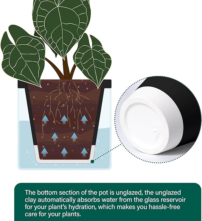 D'vine Dev 8 Inch Design Self Watering Planter - Image 6