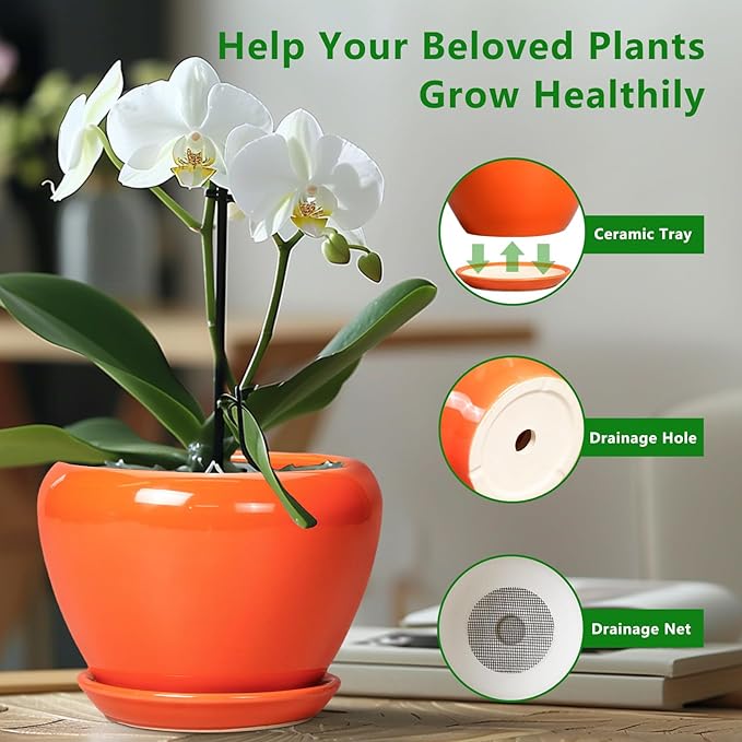 Ceramic Pot for Plants - Image 5