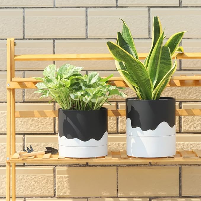 Nihow Ceramic Plant Pot: 6 Inch Planter - Image 4