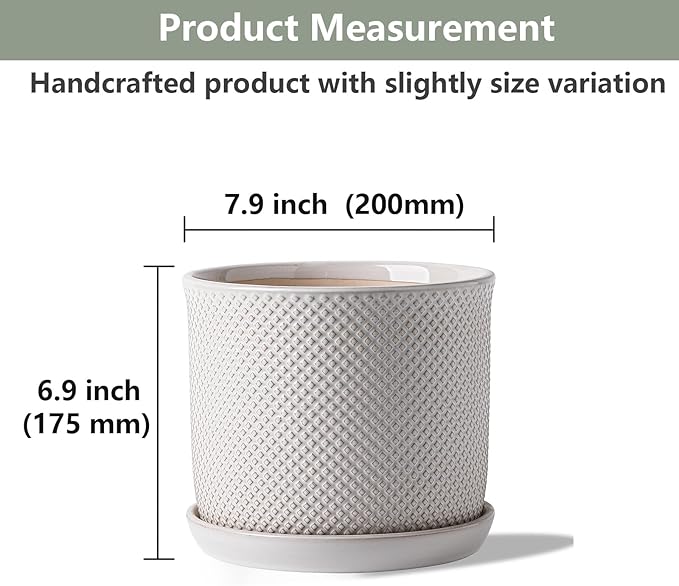 8 Inch Plant Pot: Ceramic Planter - Image 2