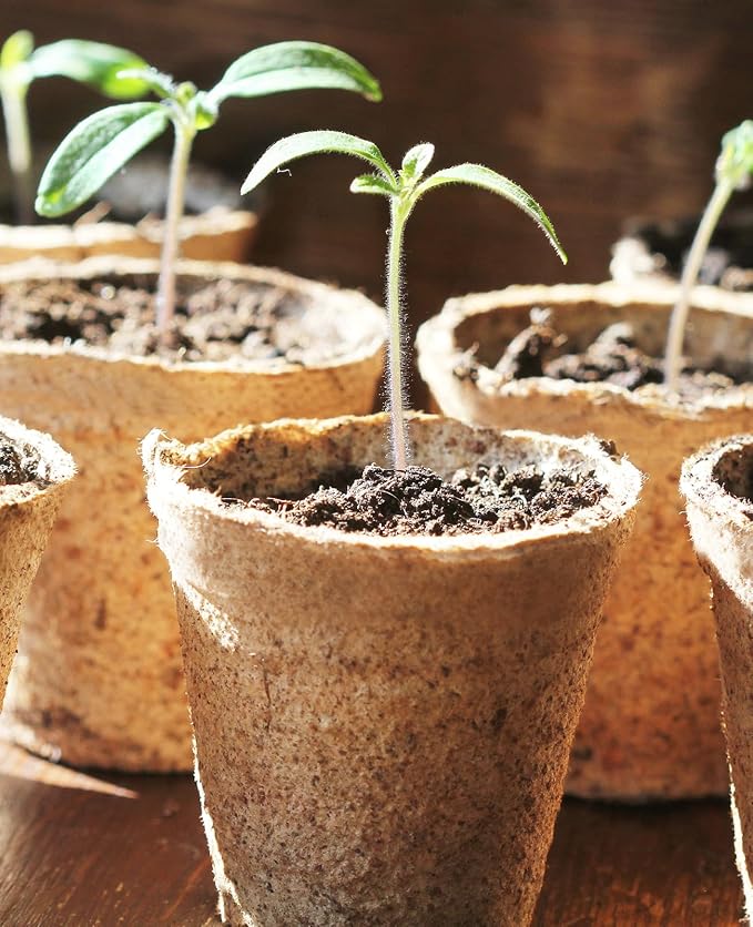 homenote Peat Pots, 3.15/4 Inch 60 Pcs Seed Starting Pots - Image 8