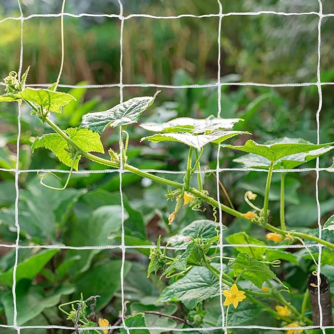 Tcamp Heavy-Duty Polyester Garden Trellis Net Plant Support Netting - Image 6