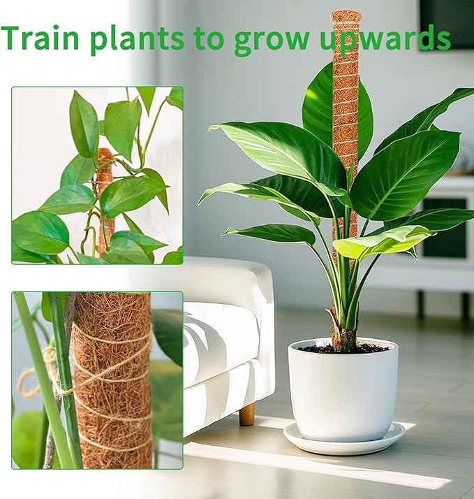 4 Pack 28 Inch Moss Pole Monstera Plant Support, Coir Moss Poles - Image 3