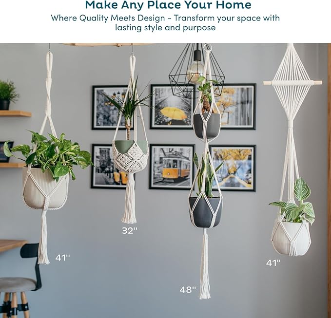 Nook Theory 6-Pack Macrame Plant Hangers - Image 7