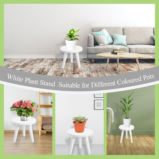 2PCS Samll Plant Stand Indoor/Outdoor - Image 5