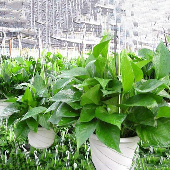 VIDELLY 4 Pieces Plastic Hanging Planters, 5.9 in Dia x 3.54 in H, Flower Plant - Image 7
