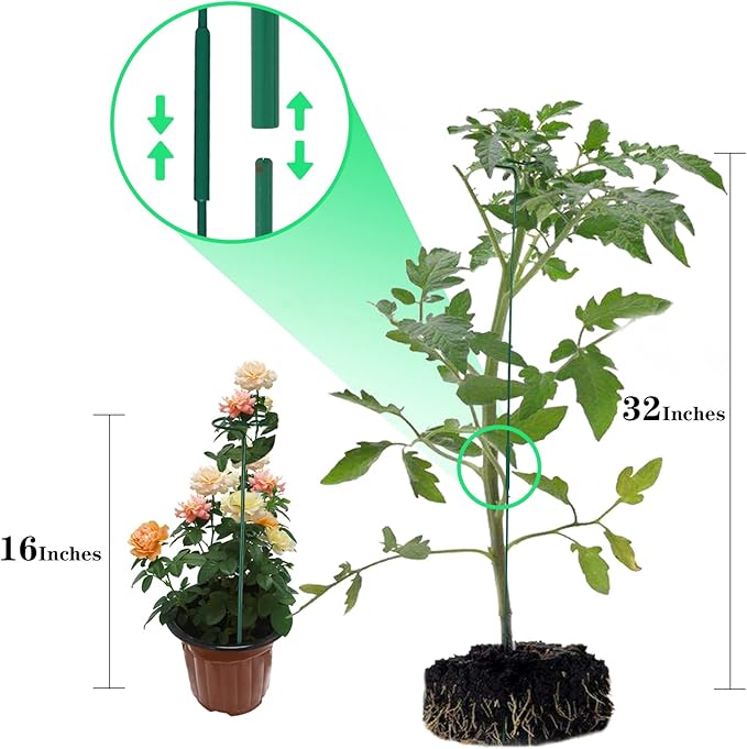 4 Pack Plant Stakes, Plant Support Stakes - Image 3