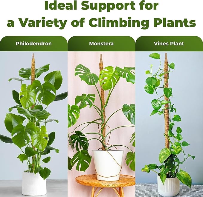 48 Inch Bendable Moss Pole Monstera Plant Support - Image 4