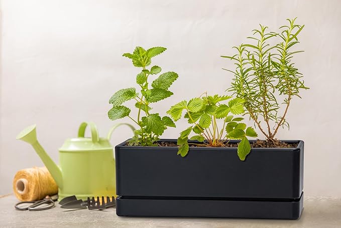 D'vine Dev 12 Inch Window Box Planter, Rectangle Plastic Herb Planter - Image 7