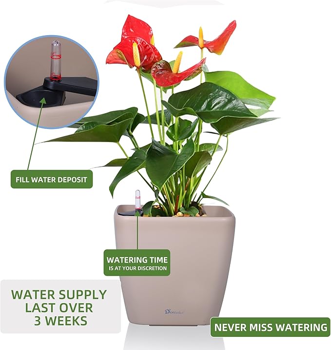 Dexceder 13x12 Self Watering Planter - Image 5