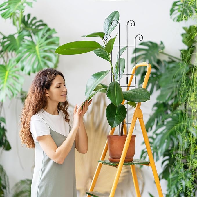Coomin 32.6in Monstera Plant Support Stakes - Image 9