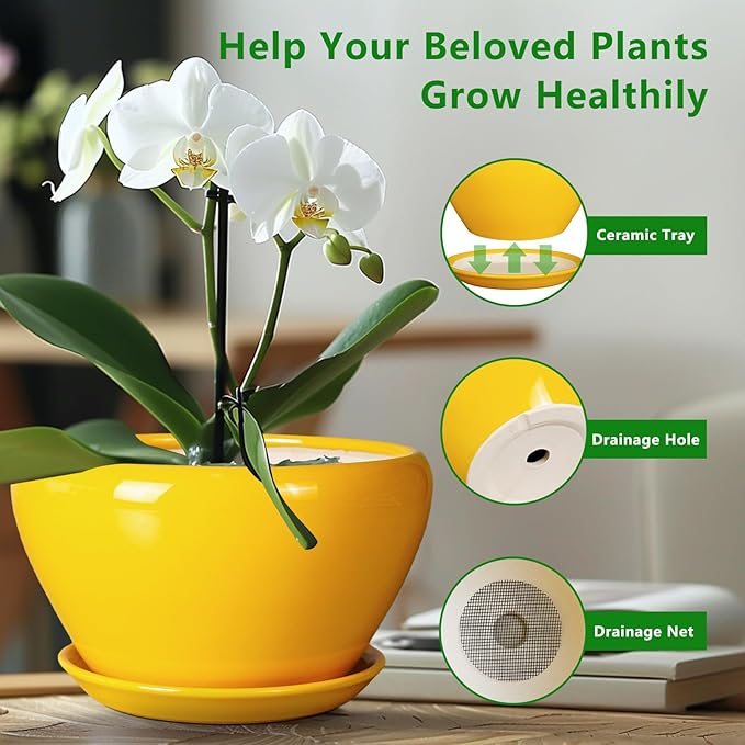 Ceramic Planter for Indoor Plants - Image 6