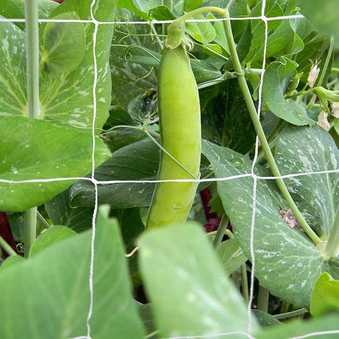 Tcamp Heavy-Duty Polyester Plant Trellis Netting 5 x 15ft - Image 9