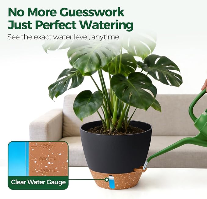 2 Pack 10 Inch Self Watering Pots - Image 7