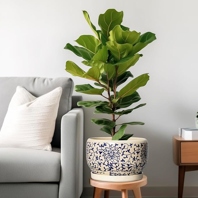 SQOWL 10 Inch Plant Pot Indoor - Image 2