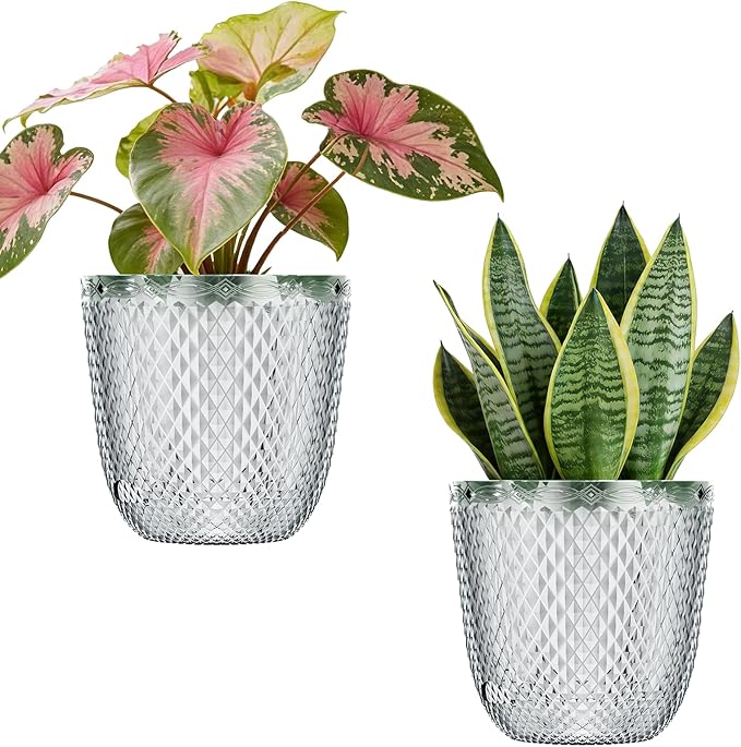 QCQHDU 2 Pack Self Watering Pots, 5.7 Inch Flower Pots by QCQHDU
