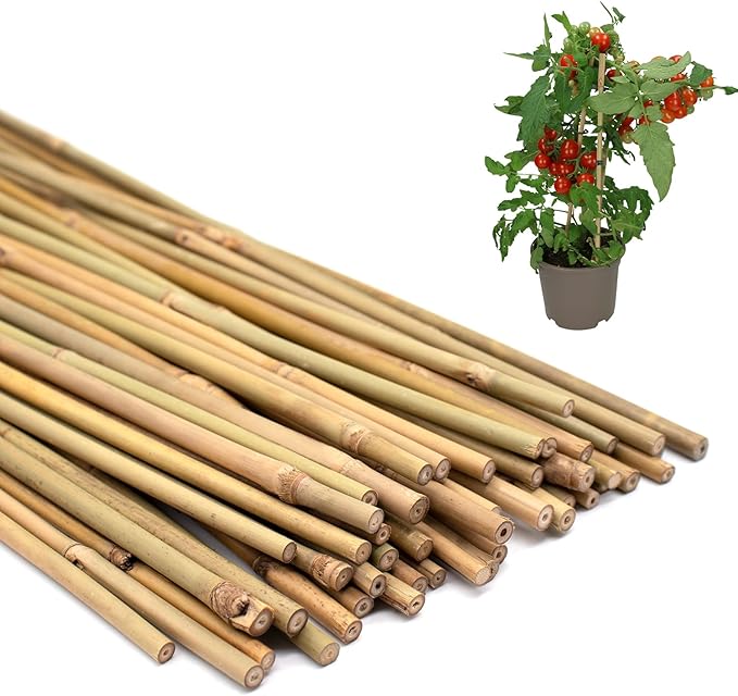 50PCS Plant Stakes, 16 Inch Natural Bamboo Stakes, Garden Stakes by POLIUMB