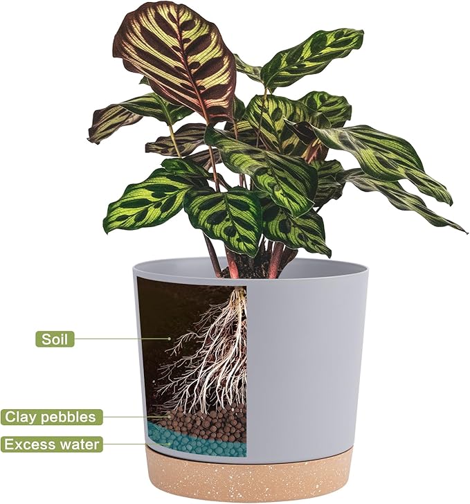 QCQHDU 6.5 inch Plant Pot, 2 Pack Planters - Image 4