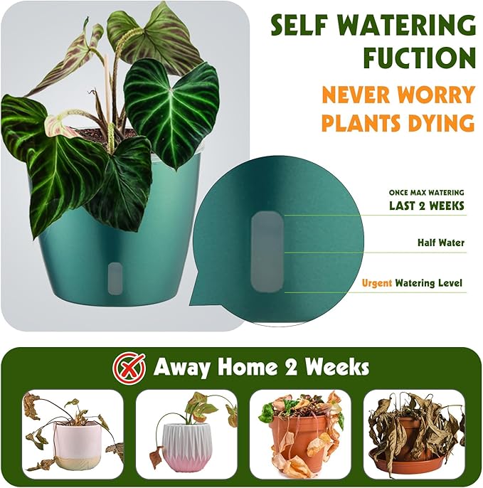 Self-Watering Pots for Indoor Plants, Small African Violet Pots - Image 3