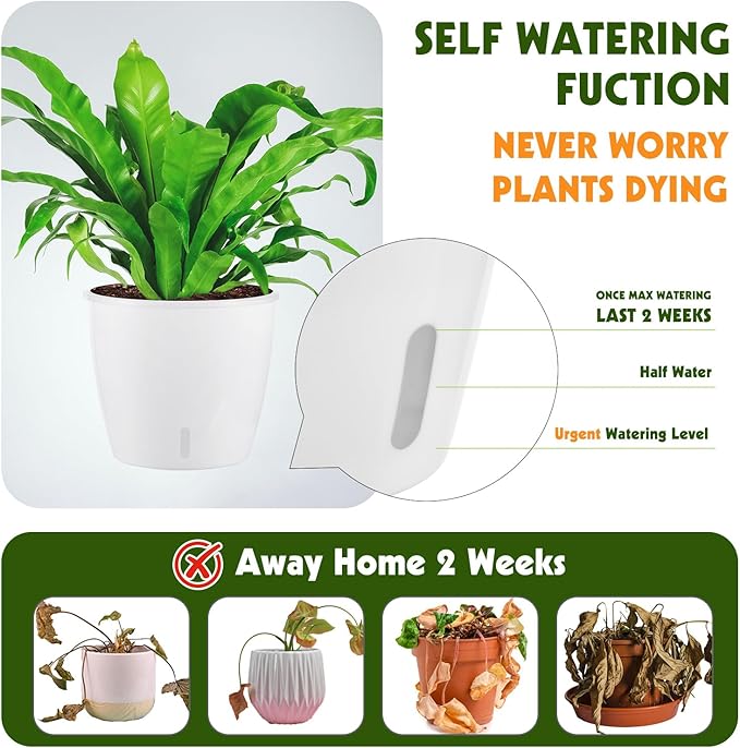 Self Watering Pots for Indoor Plants, Small African Violet Pots - Image 2
