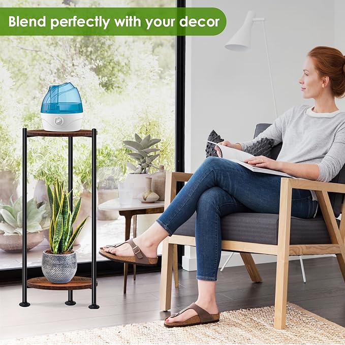 Plant Stand Indoor Outdoor, Heavy Duty Indoor Plant Shelf, 2 Tier Flower Stand - Image 4