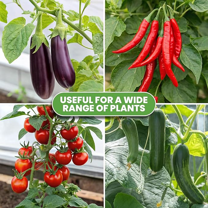 Tomato Cage - Large Trellis Stakes and Plant Support Structures - Image 8