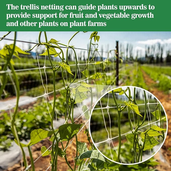 Sukh Garden Plant Trellis Netting - Image 6