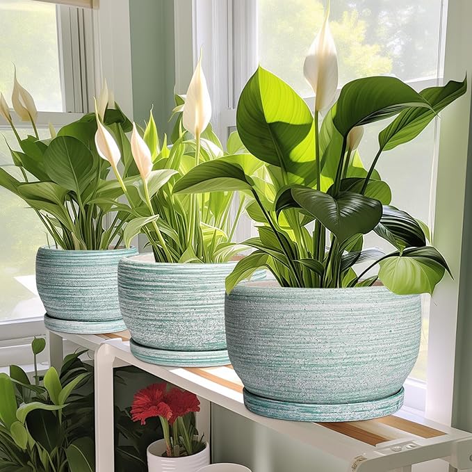 SQOWL Ceramic Pots for Plants - Image 6
