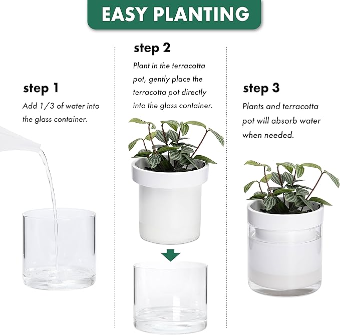 Phoenix Vine 6 Inch Self Watering Planter - Image 7