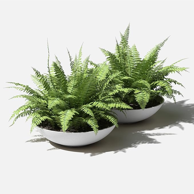 Veradek Mason Series Lane Bowl Planter| - Image 7