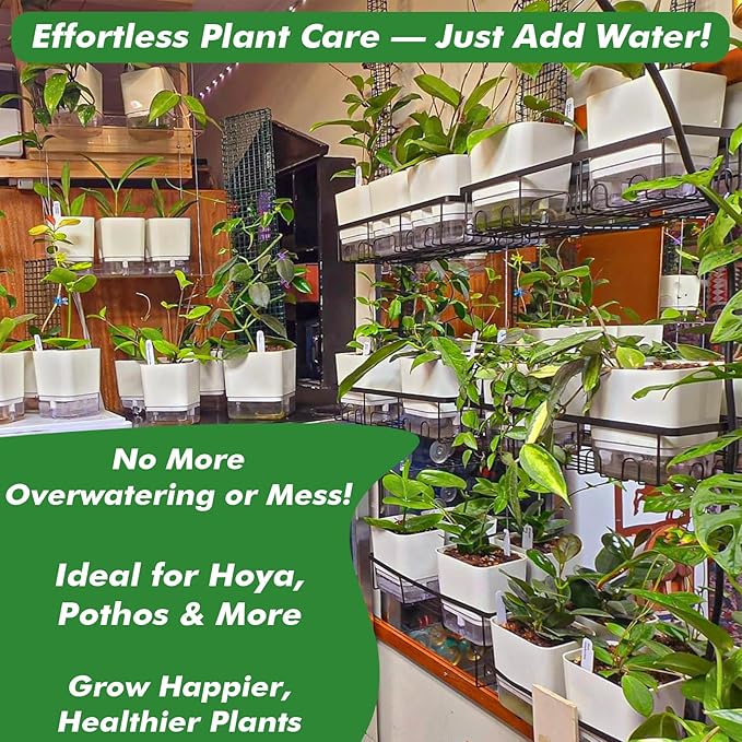 Planterhoma Self Watering Plant Pots - Image 8