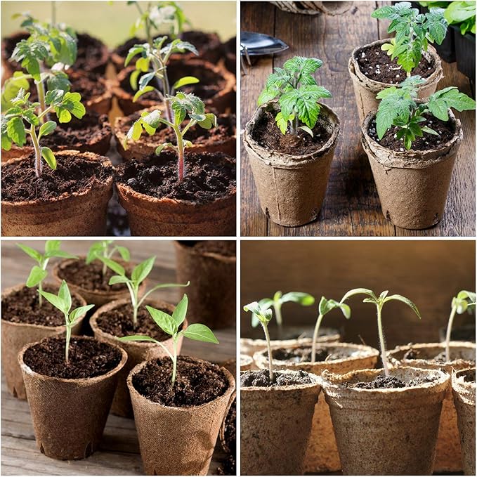 homenote Peat Pots, Round Nursery Plant Pots - Image 4