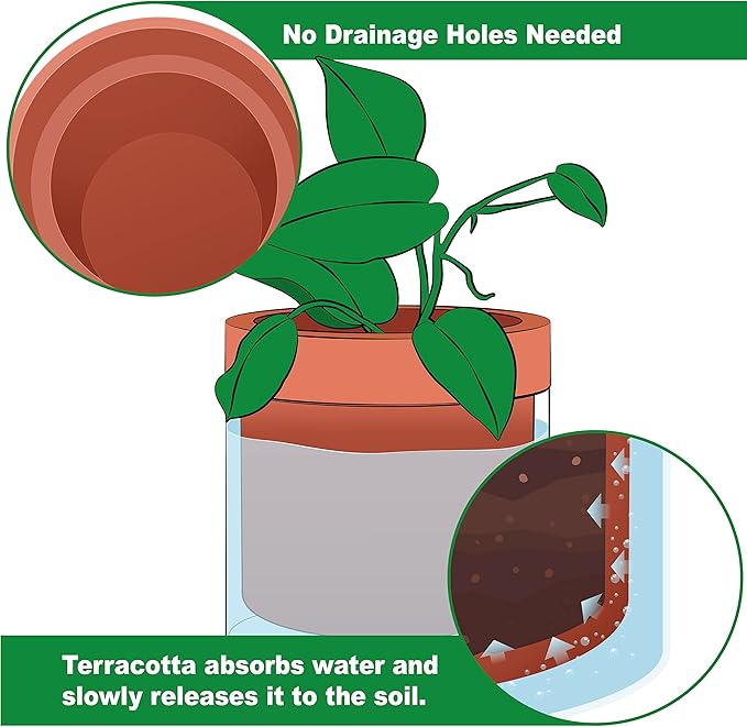 Phoenix Vine 6 Inch Self Watering Planter Pot, Terracotta Clay Pot - Image 3