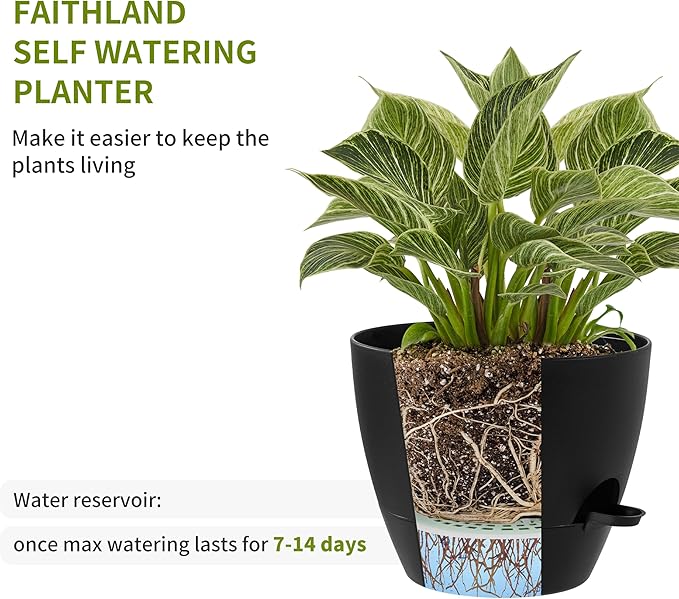 FaithLand 3-Pack Large Planter Pots, 12 10 9 Inch Self Watering Flower Pots - Image 4