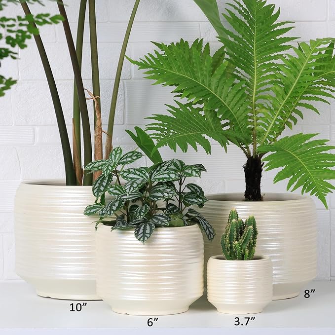 8 Inch + 6 Inch Ceramic Plant Pots Indoor - Image 7