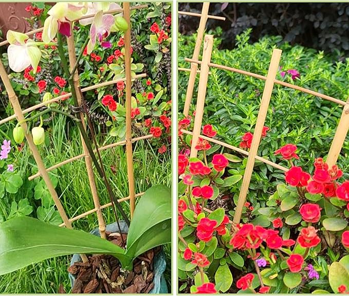 Bamboo Trellis for Climbing Plants 20 Pack, 16 Inch Garden Ladder Trellis for - Image 6