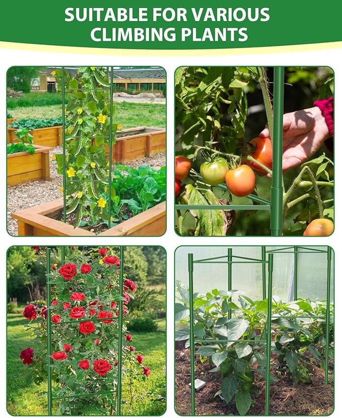 3 Pack Tomato Cages for Garden, 51in*13in Adjustable Tomatoes Plant Stakes - Image 3