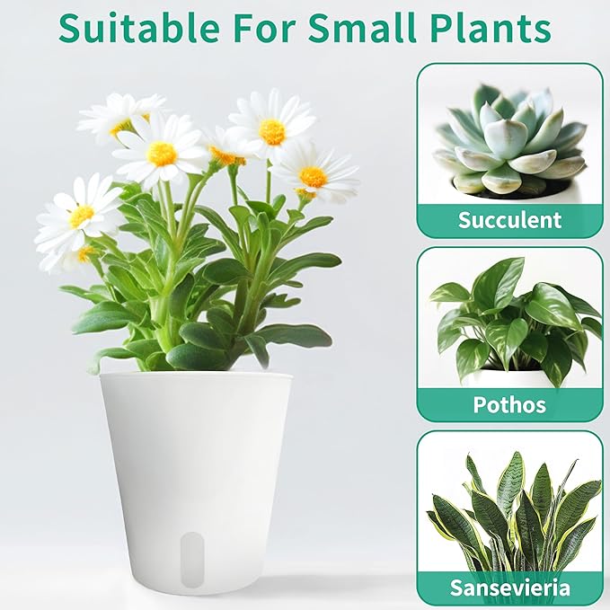 3" Self Watering Pots - Image 5