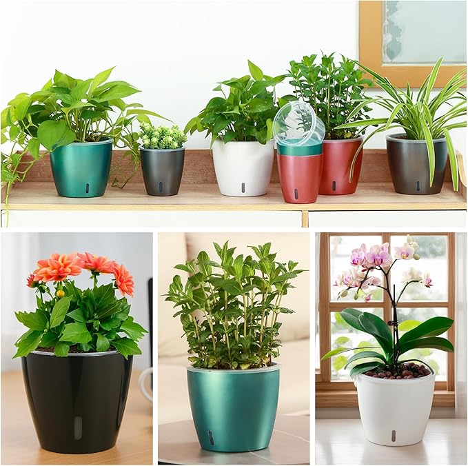 Self-Watering Pots for Indoor Plants, Small African Violet Pots - Image 3