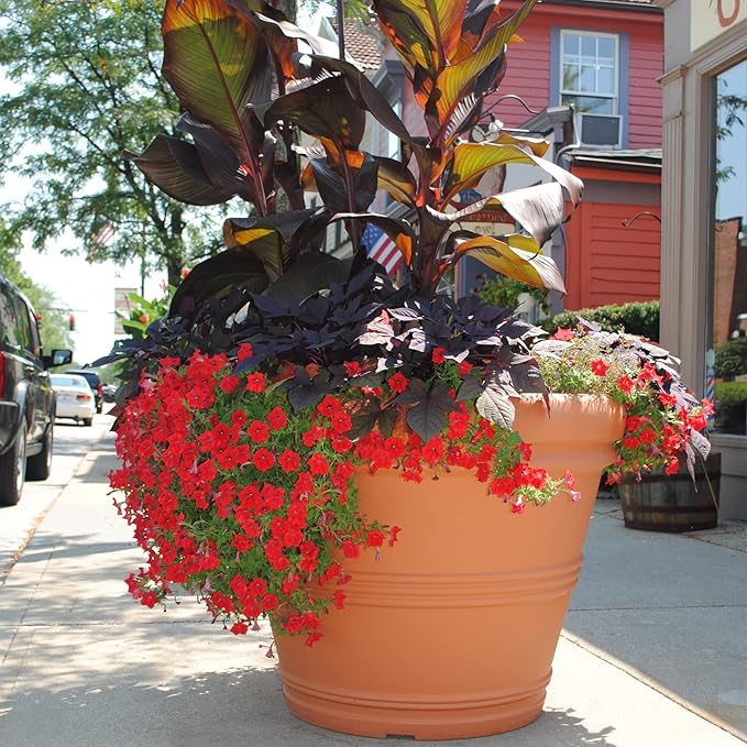 Tusco Products Rolled Rim Garden Planter - Image 3