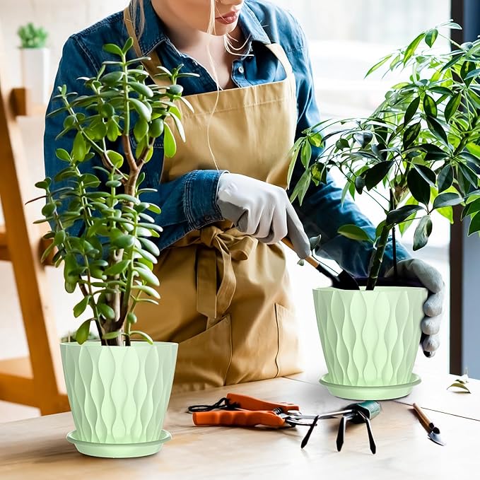 6 Pack 6 Inch Indoor Plant Pots - Image 7