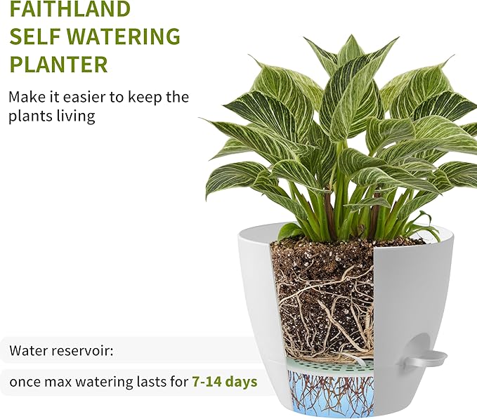 FaithLand 3-Pack Planter Pots, 10 9 8 Inch Self Watering Flower Pots - Image 4