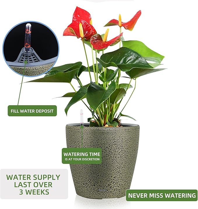 Dexceder 15x14 Self Watering Planter - Image 5