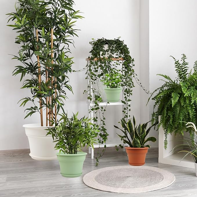 6 Inch Plastic-Flower Pot-for-Indoor Plants, 6 Pack Outdoor Plant Pots - Image 7